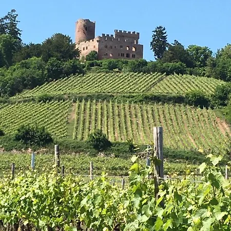 La Cour St-fulrad - Les 3*